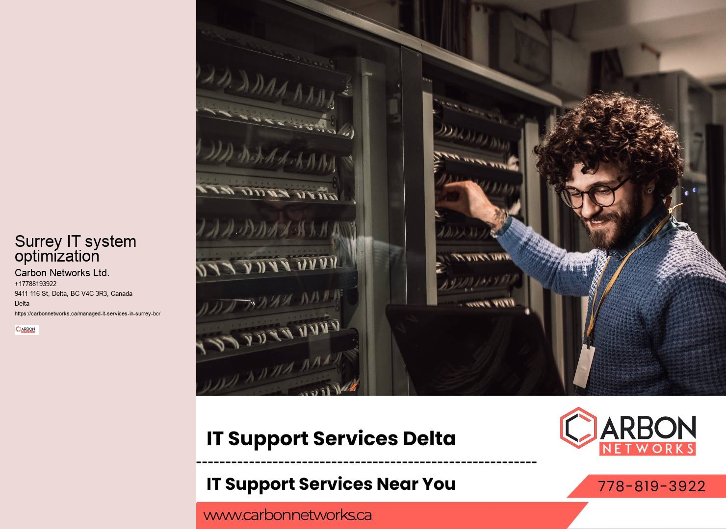 Surrey IT project support